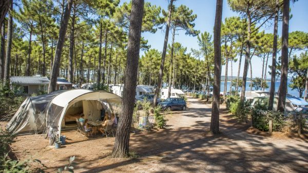 Venez profiter d'un séjour en camping en pinède en Vendée